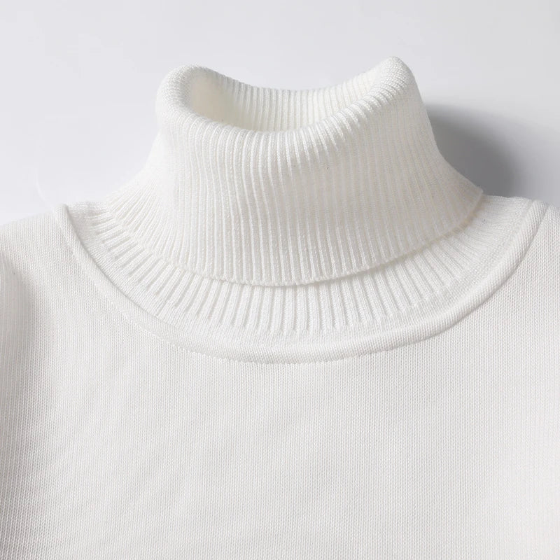 Men's Turtleneck Knit Sweater
